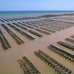 Les Dunes, Maison Neuve 8 P Bien Equipee Jardin Clos, Terrasse Equipee, Parking, Garage A 850 M De La Et Centre Bourg, Sur Plages Du Debarquement Pres Arromanches Et Bayeux, Chiens Bienvenus 度假居