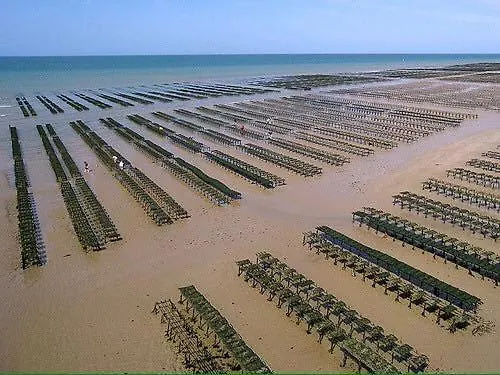 Les Dunes, Maison Neuve 8 P Bien Equipee Jardin Clos, Terrasse Equipee, Parking, Garage A 850 M De La Et Centre Bourg, Sur Plages Du Debarquement Pres Arromanches Et Bayeux, Chiens Bienvenus Tatil Evi