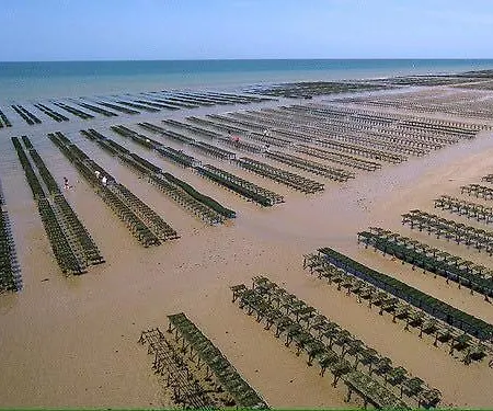 Les Dunes, Maison Neuve 8 P Bien Equipee Jardin Clos, Terrasse Equipee, Parking, Garage A 850 M De La Et Centre Bourg, Sur Plages Du Debarquement Pres Arromanches Et Bayeux, Chiens Bienvenus Semesterbostad